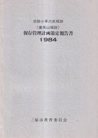 N104920׾(ʹ⻳)¸ײ