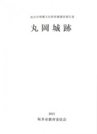 N117113ݲ